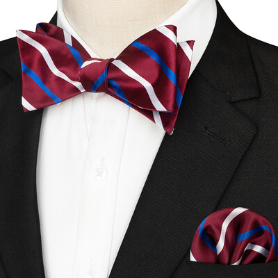 EASTEPIC svītraina tauriņa kaklasaite vīriešiem Hanky komplekts rūtains aksesuārs Paisley Neckwear Floral Design Polka Dot Pure Black Evening Party