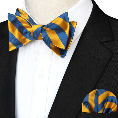 EASTEPIC svītraina tauriņa kaklasaite vīriešiem Hanky komplekts rūtains aksesuārs Paisley Neckwear Floral Design Polka Dot Pure Black Evening Party