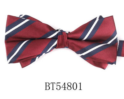 Prugasta leptir-mašna Za muškarce Žene Odrasle Jacquard leptir-mašne Kravate Odijela Džentlmen Cvjetna leptir-mašna Za Vjenčanje Leptir-mašne