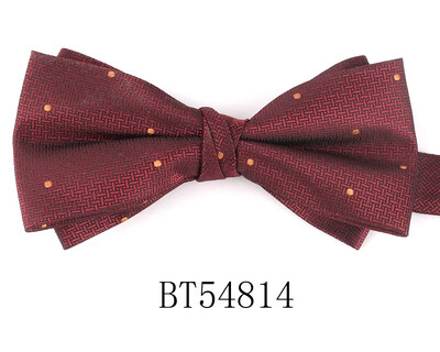 Prugasta leptir-mašna Za muškarce Žene Odrasle Jacquard leptir-mašne Kravate Odijela Džentlmen Cvjetna leptir-mašna Za Vjenčanje Leptir-mašne