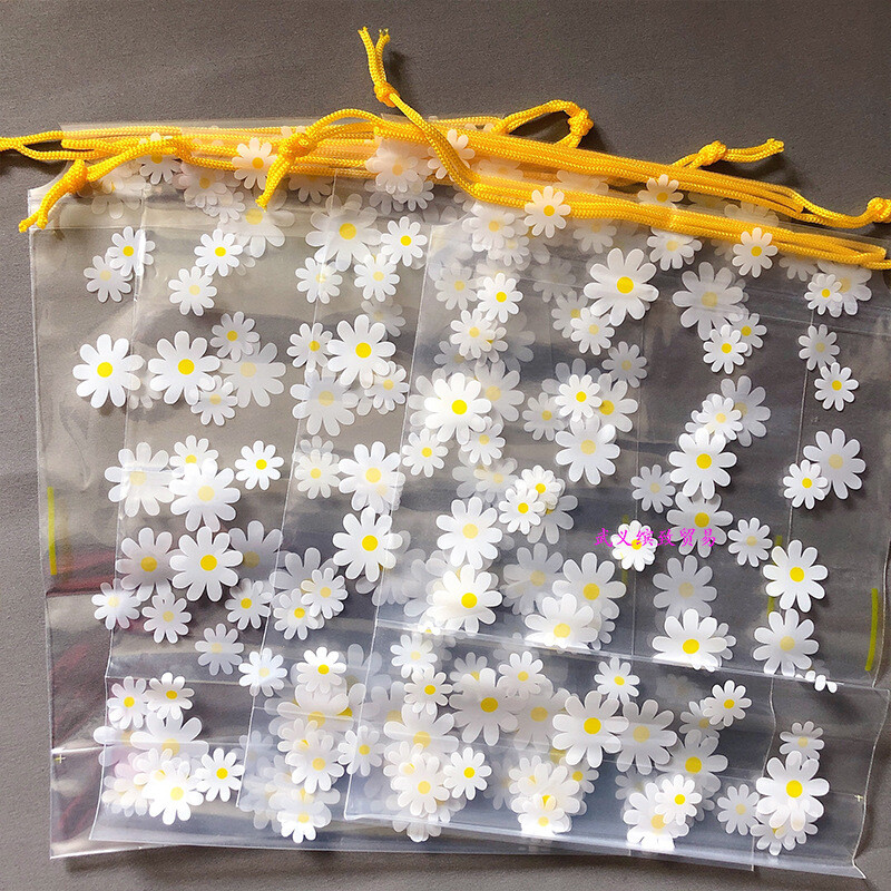 Geantă portabilă de depozitare de călătorie, 5 bucăți, geantă de depozitare din plastic transparentă, impermeabilă