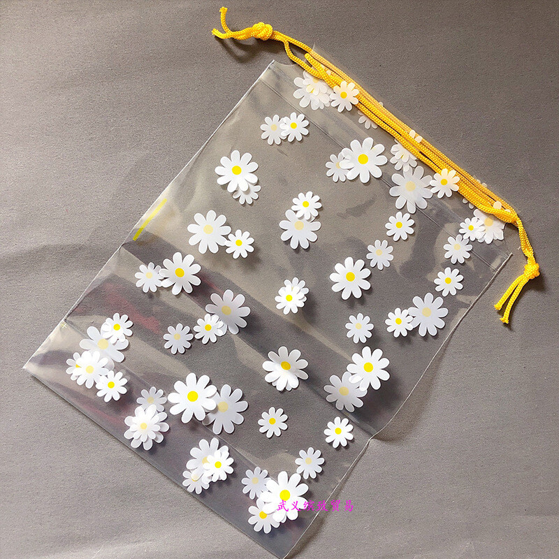 Geantă portabilă de depozitare de călătorie, 5 bucăți, geantă de depozitare din plastic transparentă, impermeabilă