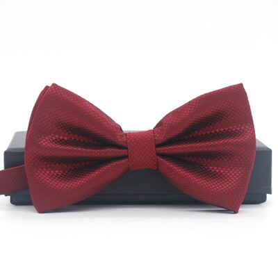 Muška leptir leptir leptir leptir leptir mašna za dječake Dječja leptir mašna muška vjenčana leptir leptir leptir leptir kravata za elegantne muškarce leptir leptir LD04