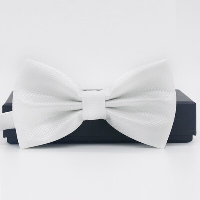 Muška leptir leptir leptir leptir leptir mašna za dječake Dječja leptir mašna muška vjenčana leptir leptir leptir leptir kravata za elegantne muškarce leptir leptir LD04