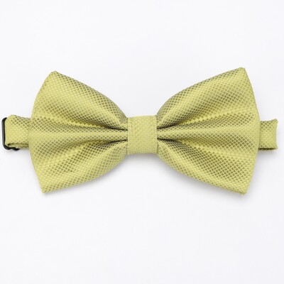 Papioni în carouri pentru bărbați Mire pentru bărbați, cravată solidă de modă pentru bărbați, fluture Gravata, rochie formală pentru bărbați, nuntă, nuntă, papion