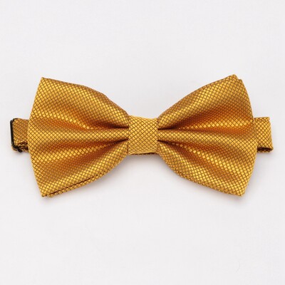 Papioni în carouri pentru bărbați Mire pentru bărbați, cravată solidă de modă pentru bărbați, fluture Gravata, rochie formală pentru bărbați, nuntă, nuntă, papion