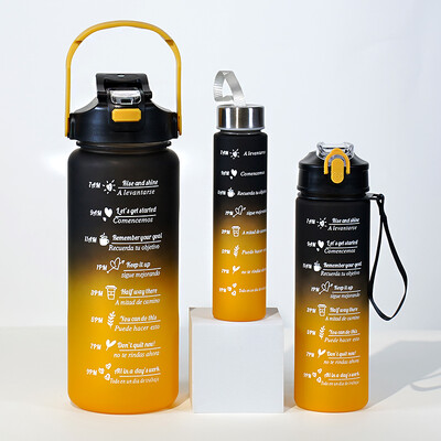 Komplekts ar 3 lielas ietilpības gradienta sporta ūdens pudelēm 300 ml 800 ml 2000 ml ar modernu salmu dizainu vairākās krāsās.