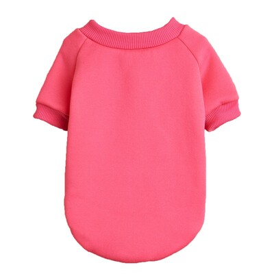 W28 Nova jesenska i zimska odjeća za kućne ljubimce, više opcija, elegantne jednobojne tople majice s kapuljačom za Chihuahua, Schnaucer, Bichon