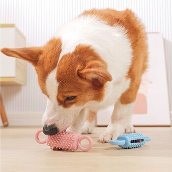 Pet Chew Toy TPR Bite-resistance Molar Interactive Dogs Toys For Small Dog Leakage Food Toy Dog Teeth Cleaning Toy Supplies