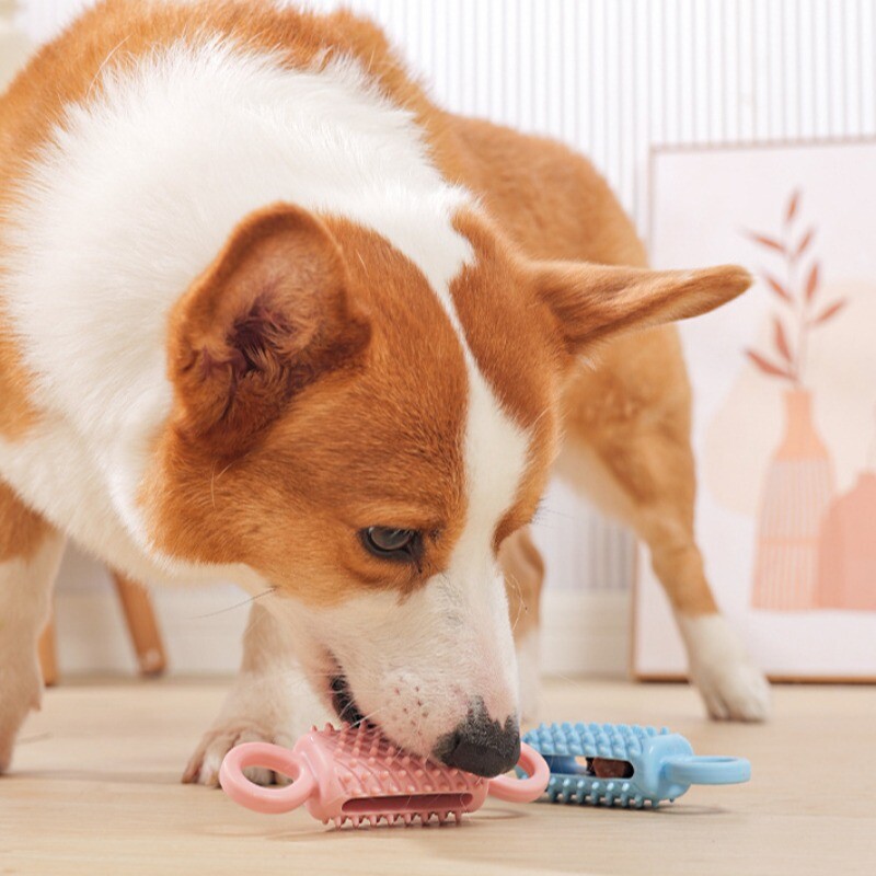 Mājdzīvnieku košļājamā rotaļlieta TPR, pret sakodieniem izturīgas molāras interaktīvas suņu rotaļlietas, kas paredzētas maziem suņiem, kuriem izplūst barība Rotaļlieta Suņu zobu tīrīšanas rotaļlietu piederumi