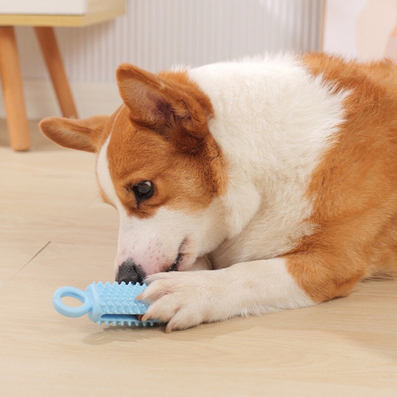 Mājdzīvnieku košļājamā rotaļlieta TPR, pret sakodieniem izturīgas molāras interaktīvas suņu rotaļlietas, kas paredzētas maziem suņiem, kuriem izplūst barība Rotaļlieta Suņu zobu tīrīšanas rotaļlietu piederumi