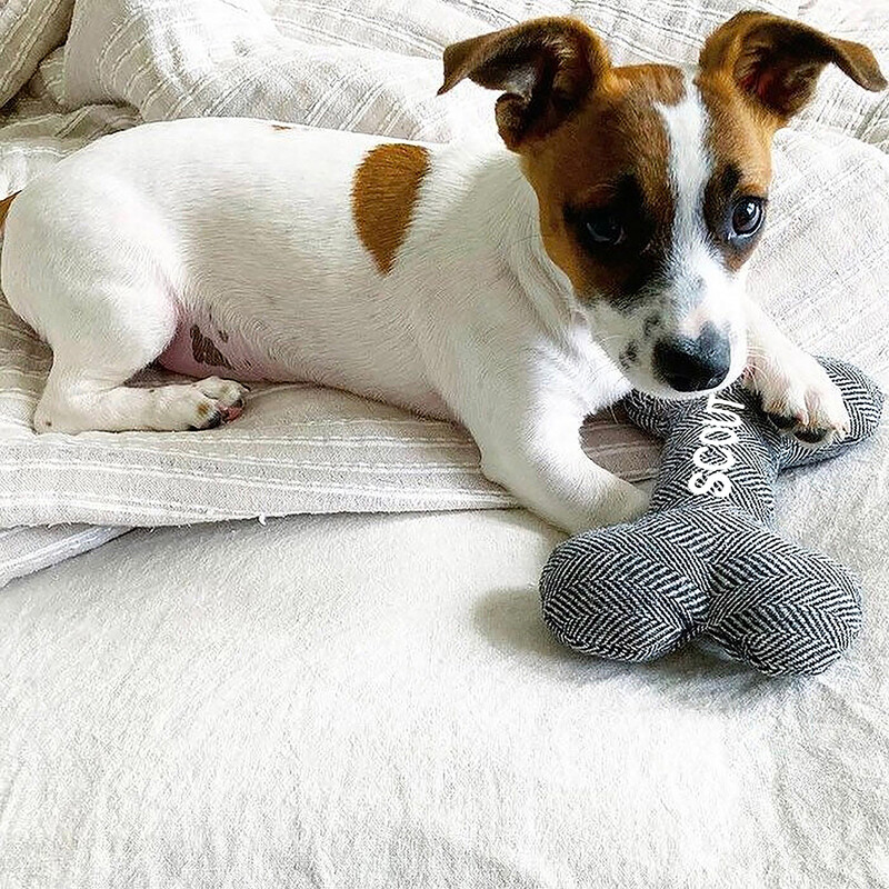 Personalizēta suņu rotaļlieta ar vārdu, kucēna košļājamā, koduma piederums, pielāgota mājdzīvnieka kaulu rotaļlieta, DIY logotips, Ziemassvētku dāvana