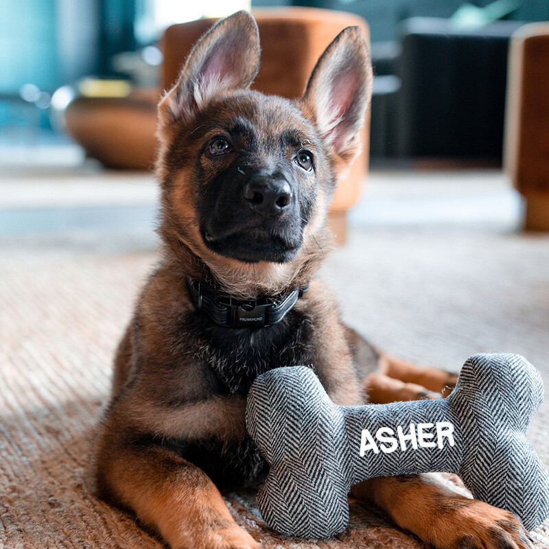 Personalizēta suņu rotaļlieta ar vārdu, kucēna košļājamā, koduma piederums, pielāgota mājdzīvnieka kaulu rotaļlieta, DIY logotips, Ziemassvētku dāvana