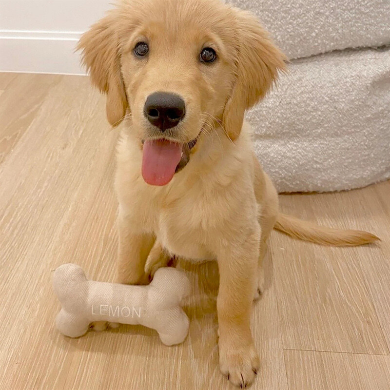 Personalizēta suņu rotaļlieta ar vārdu, kucēna košļājamā, koduma piederums, pielāgota mājdzīvnieka kaulu rotaļlieta, DIY logotips, Ziemassvētku dāvana