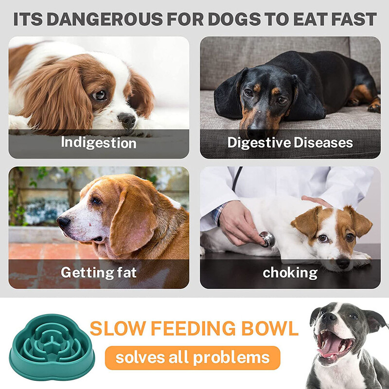 Dog Puppy Slow Feeder Bowl Neklizajuća Puzzle Bowl Anti-Gulping Dog Posuđe za sporije hranjenje hrane Zdjela za kućne ljubimce za velike srednje male pse