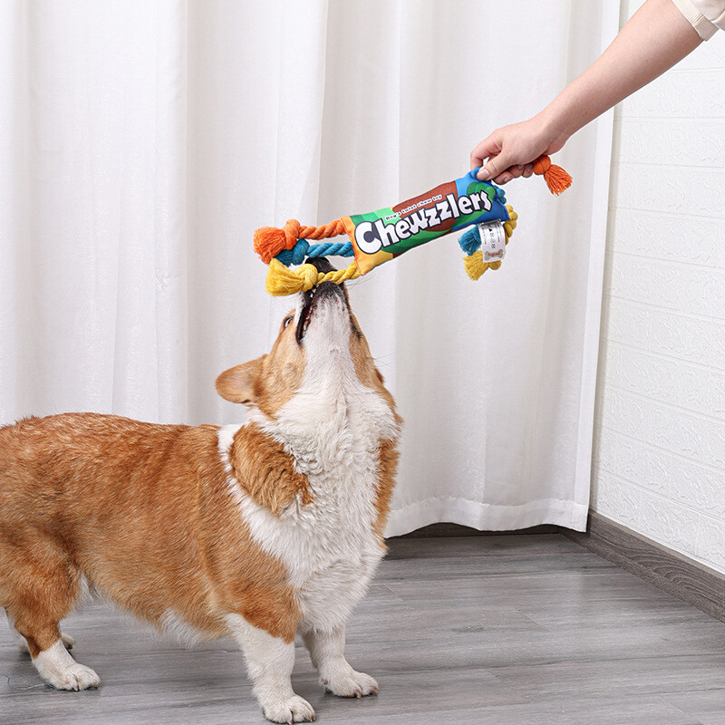 Kucēnu suņiem Rotaļlietas Kucēns krāsains kokvilnas košļājamās virves mezgls Rotaļlieta Izturīga pīta Suņu Rotaļlietas Suņu Tīrīšanas Zobu Pīta Kaulu Virve