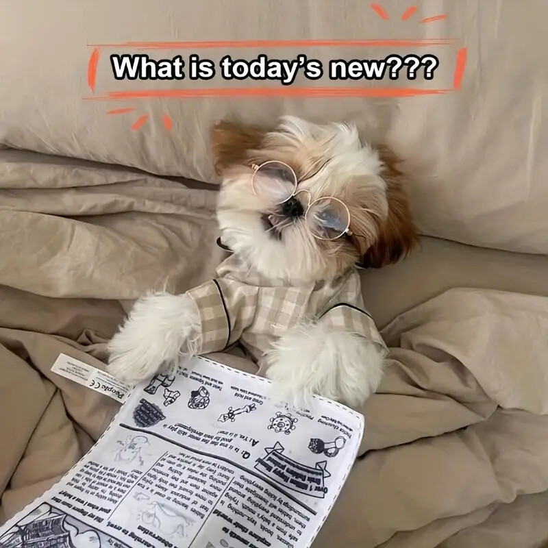 1 kom zvučna igračka za kućne ljubimce otporna na trganje Simulacija škripe novina Igraća karta KQJ Interaktivni Corgi Teddy Puppy otporan na zube