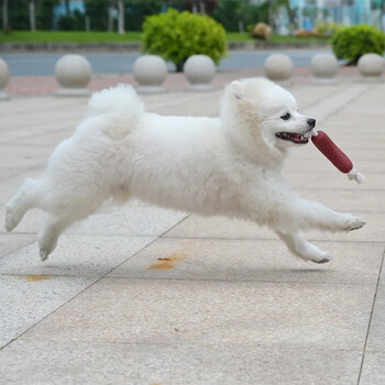 1/3 τμχ Παιχνίδια για σκύλους Funny Sausage Shape Interactive Training for Puppy Dog Chew Toys Ανθεκτικά στα δαγκώματα σκυλιά που τρίβουν δόντια για κατοικίδια