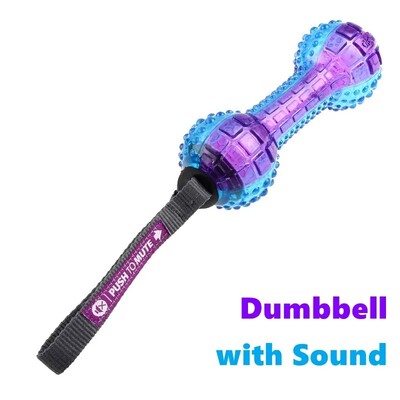 Gigwi Pet Rotaļlietas Interaktīvās suņu bumbiņas G-Ball sērijas squeaky Balls suņu rotaļlietas 2,5 collas maziem/vidējiem suņiem, bouncy un dažādas krāsas