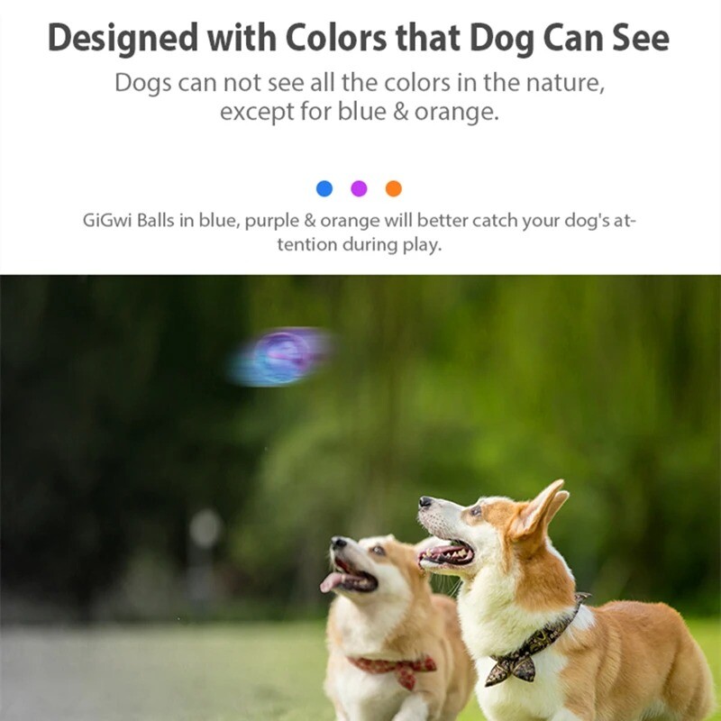 Gigwi Pet Rotaļlietas Interaktīvās suņu bumbiņas G-Ball sērijas squeaky Balls suņu rotaļlietas 2,5 collas maziem/vidējiem suņiem, bouncy un dažādas krāsas