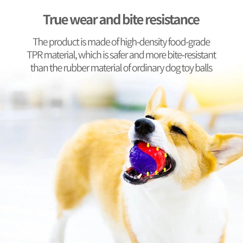 Gigwi Pet Rotaļlietas Interaktīvās suņu bumbiņas G-Ball sērijas squeaky Balls suņu rotaļlietas 2,5 collas maziem/vidējiem suņiem, bouncy un dažādas krāsas