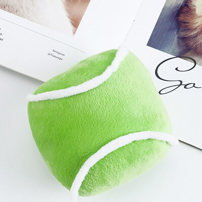 Regbijs, futbols, beisbols, plīša suņu rotaļlieta, suņa un kaķa zobu griešana, zobu tīrīšana, jautra spēle