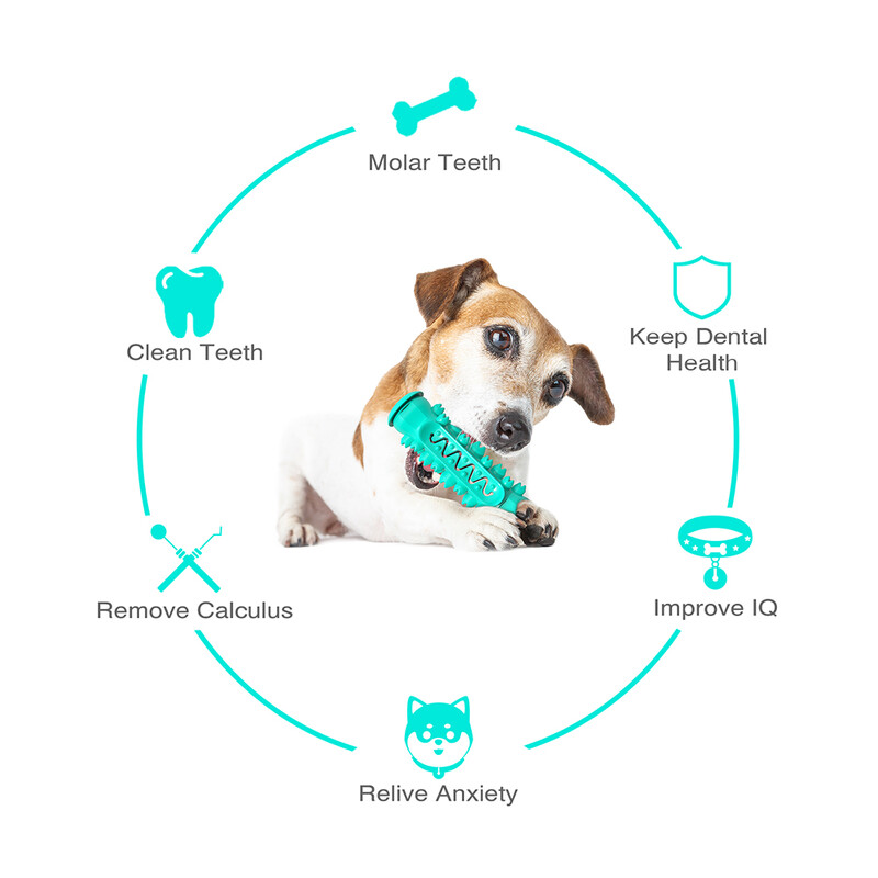 Suņu molāra košļājamā rotaļlieta vidēji lieliem suņiem Interaktīvas, smieklīgas zobu tīrīšanas kaulu rotaļlietas Zelta retrīvera Jorkšīras mājdzīvnieku piederumi
