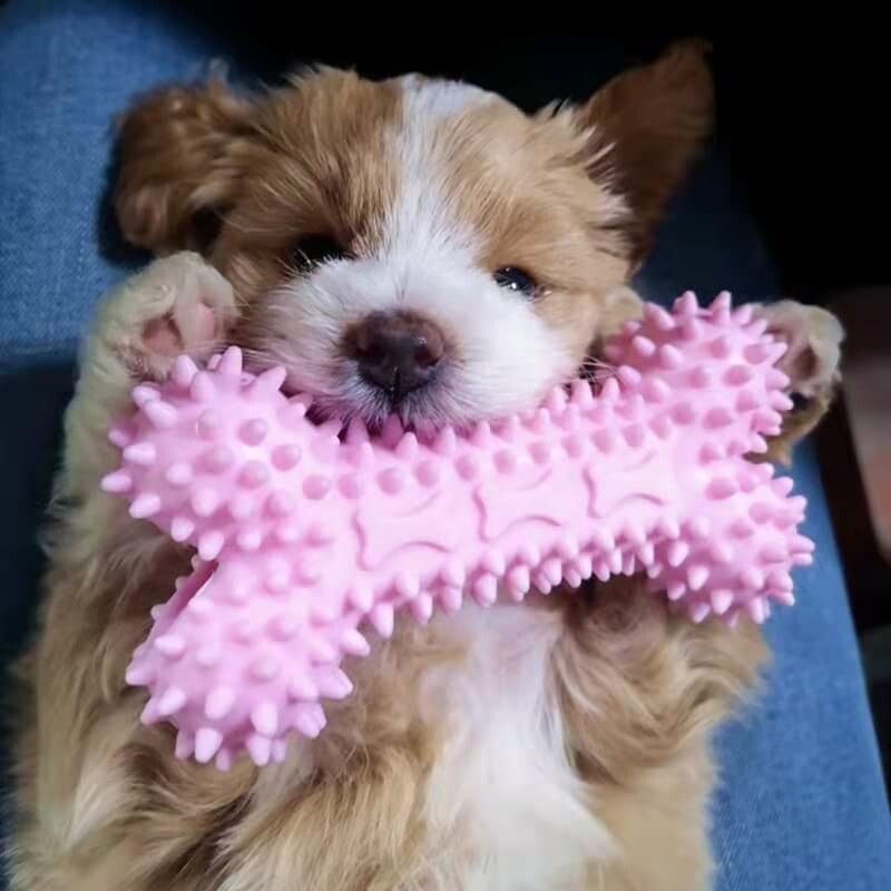 Suņu košļājamās rotaļlietas, 7-daļīgs kucēnu malšanas košļājamo rotaļlietu komplekts, kas piemērots interaktīvām mājdzīvnieku rotaļlietām maziem un vidējiem suņiem