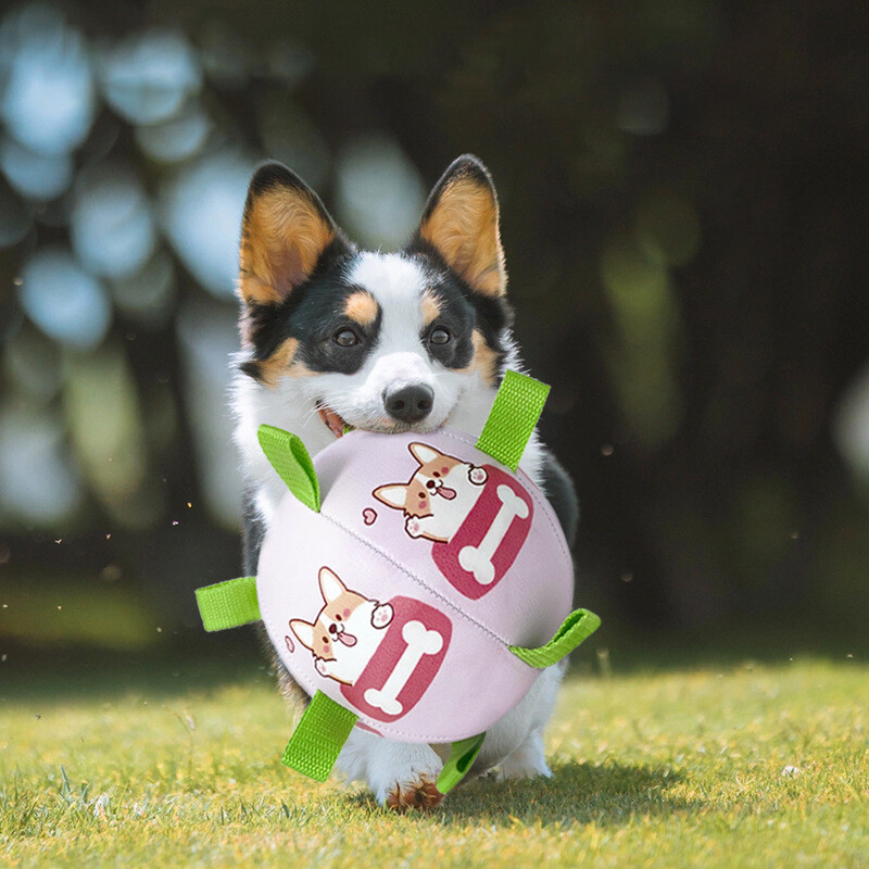 Jauna suņu vilkšanas rotaļlieta āra suņu bumba elastīga čīkstoša futbola suņu bumbas rotaļlieta Daudzfunkcionāla suņu mājdzīvnieku interaktīva bumba