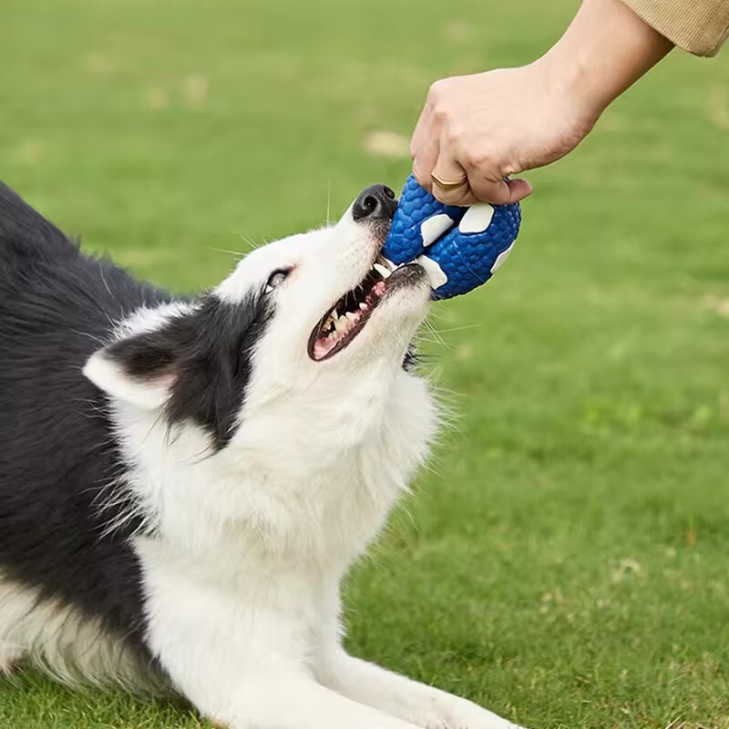 Neiznīcināmas čīkstošas suņu bumbas Stingras bumbas rotaļlieta kucēni Košļāt futbola bumbu Atlecošas čīkstošas suņu bumbas Izturīgas kucēnu bumbas