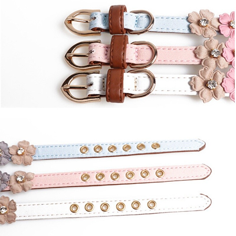 Kaulu ādas izturīgas mājdzīvnieku suņu kaklasiksnas kucēnu mopšu kakla siksnas mazam lielam sunim Čivavas kaķi Aksesuāri PU mājdzīvnieku kaklasiksnas mazam sunim