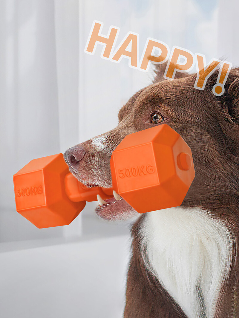 1 TPR materjalist kangiga lemmiklooma näksimise treeningmänguasi koertega mängimiseks ja suhtlemiseks