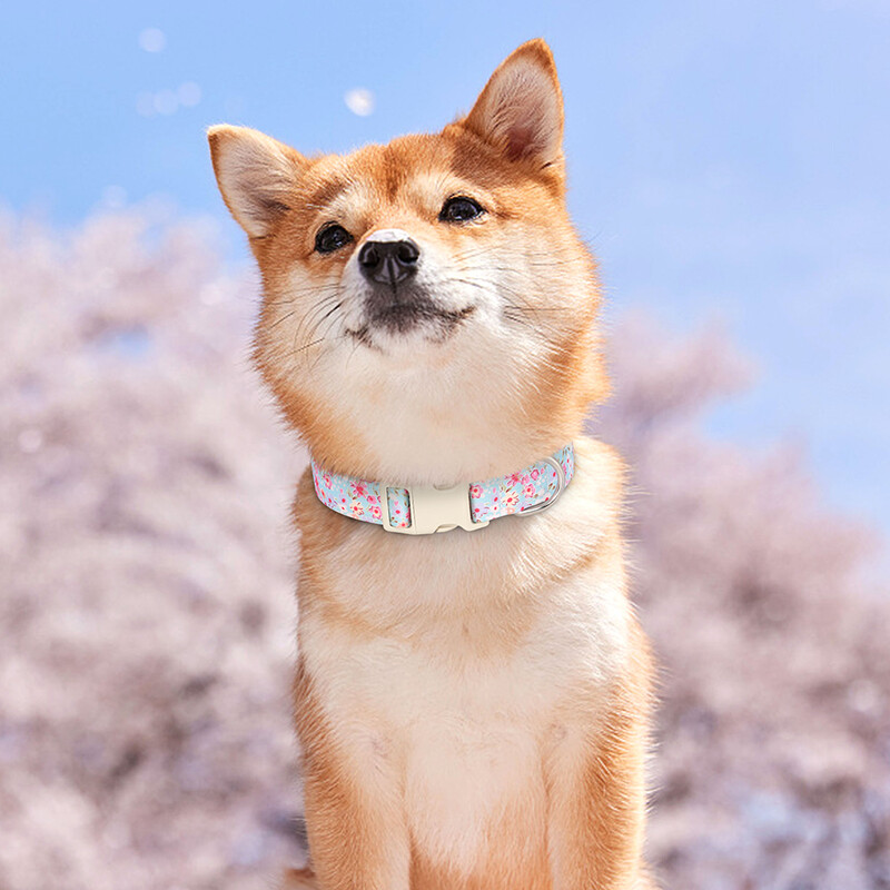 Regulējama neilona apkakles siksna, apdrukāta suņu kaklasiksna Jauka čivavas buldoga kaklasiksna kaklarota maziem vidēji lieliem suņiem, mājdzīvnieku piederumi