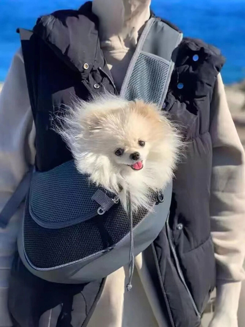 Torba za pse Nosiljka za kućne ljubimce Puppy Carrier S/L Putna torba za pse na otvorenom Mrežasta torba za nošenje na ramenu Oxford Sling Ručna torbica Torbica Držač za Yorkie Chihuahua