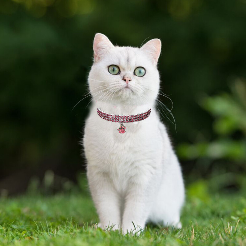 Нашийник за кучета с лапи, кристали, котешки нашийник, регулируем размер на врата 20CM ~ 30CM за малки, средни кучета, котки, чихуахуа, аксесоари за кучета