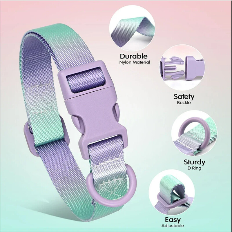 Modes izturīgas gradienta krāsas kucēnu apkakles siksna Regulējama, izturīga neilona suņu kaklasiksna maziem vidēji lieliem suņiem, izturīga