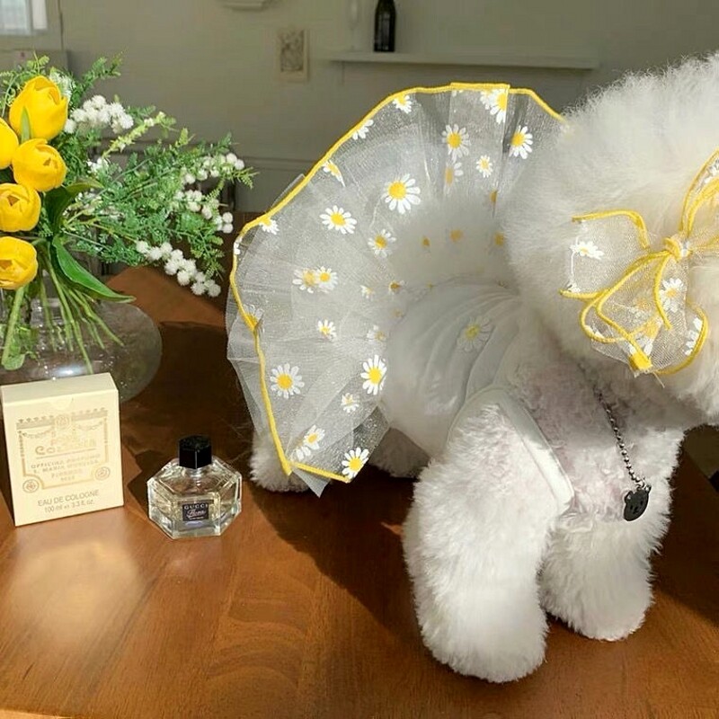 Vasaras suņu kleitas kucēnu apģērbi Jauki margrietiņas princeses svārki Čivavas bišons suns atvēsinošs kostīms mājdzīvnieku apģērbs suņiem Kaķu kleitas