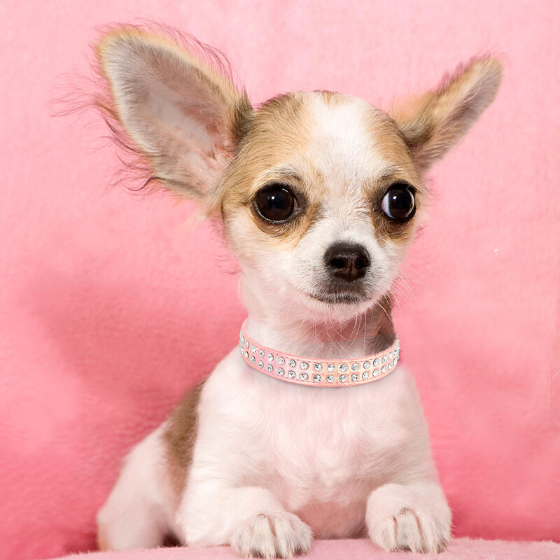 Bling Ogrlica za pse s ogrlicom od vještačkih dijamanata, slatki psići, ogrlice za mačke, ogrlice za kućne ljubimce s kristalima, podesiva za male pse, mačke Pitbull