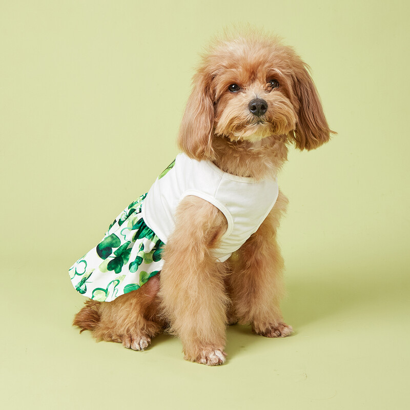 Najslađa djetelina u haljini za pse, odjeća za pse za male pse za djevojčicu za Dan svetog Patrika, smiješna odjeća za kućne ljubimce Blagdanska odjeća za mačke