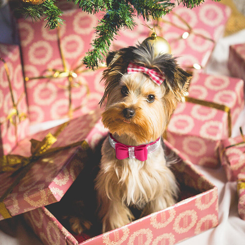 Mazi un vidēji Bling Rhinestone zamšādas ādas tauriņu aksesuāri suņu kaklasiksna Regulējama mājdzīvnieku kucēnu kaķēnu mopsa kaklarotas kaklasiksnas
