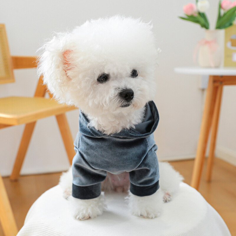 1Gb mājdzīvnieku apģērbs pavasara un rudens pelēki zila samta cepure, kapuce Mājas apģērbs, kas piemērots maziem un vidējiem suņiem