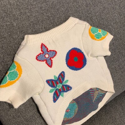 Ziemas apģērbi maziem suņiem Dizaineru luksusa apģērbi suņiem ziemas franču buldogu rotaļu suņu apģērbi siltie suņiem vidējiem suņiem