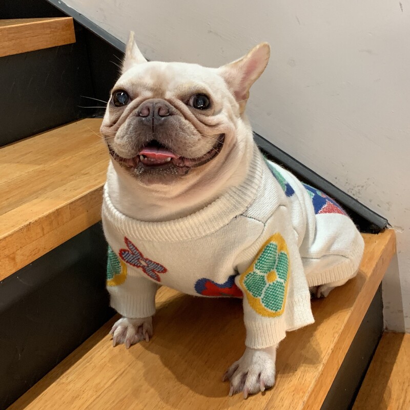 Ziemas apģērbi maziem suņiem Dizaineru luksusa apģērbi suņiem ziemas franču buldogu rotaļu suņu apģērbi siltie suņiem vidējiem suņiem