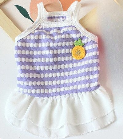 Mājdzīvnieku apģērbi Kaķēnu kucēnu Teddy Bear Pomerānijas suņu apģērbi Vasaras plāna elpojoša princeses kleita