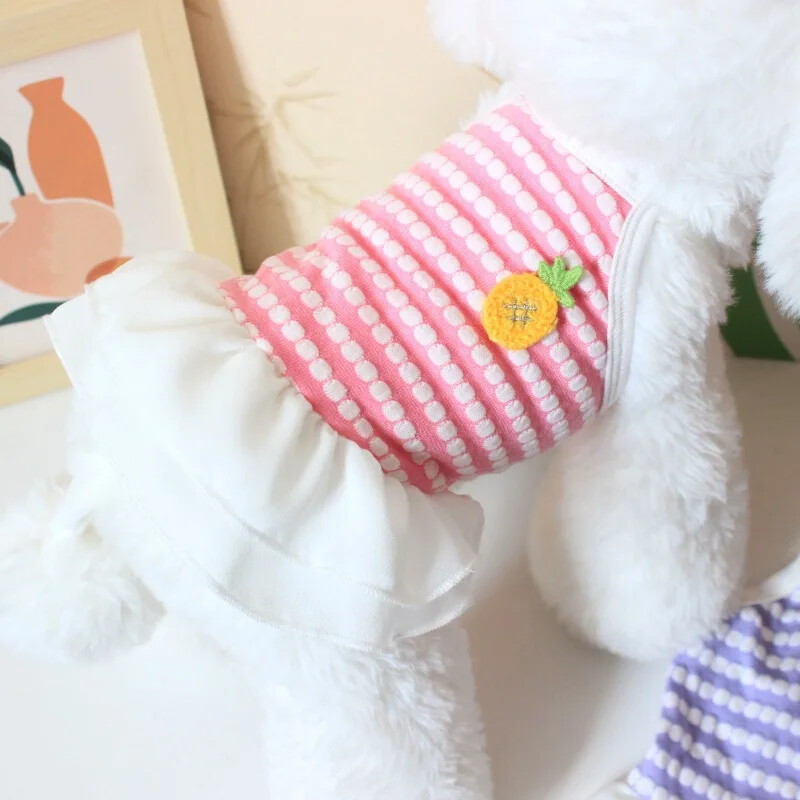 Mājdzīvnieku apģērbi Kaķēnu kucēnu Teddy Bear Pomerānijas suņu apģērbi Vasaras plāna elpojoša princeses kleita