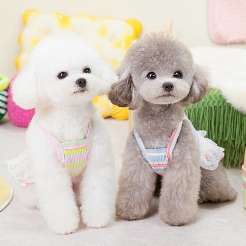 Vasaras mājdzīvnieku suņu apģērbi Modes svītraina suņu kleita Jauka mežģīņu kucēna princeses svārki kaķu kāzu svārki mājdzīvnieku suņu apģērbi maziem suņiem