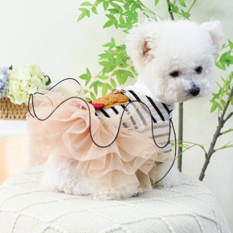 1 gab mājdzīvnieku apģērbs kaķu pavasara un rudens svītrām Little Bear pulovers Princeses kāzu kleita, kas piemērota maziem un vidējiem suņiem