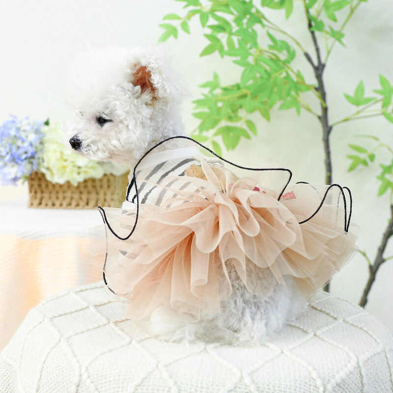 1 gab mājdzīvnieku apģērbs kaķu pavasara un rudens svītrām Little Bear pulovers Princeses kāzu kleita, kas piemērota maziem un vidējiem suņiem