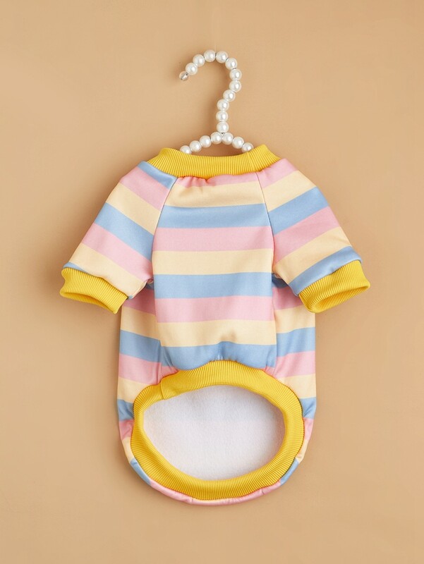 W8 Pet drēbes rudenim un ziemai, uz divām kājām, silts un ērts, klasisks svītru sadursme, veste Pūdele Bichon T-kreklam