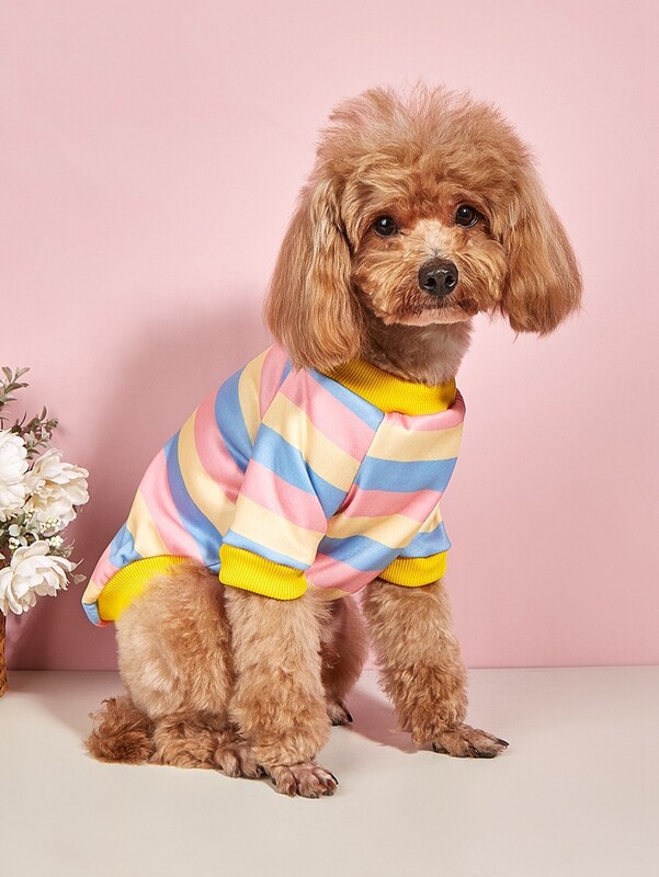 W8 Pet drēbes rudenim un ziemai, uz divām kājām, silts un ērts, klasisks svītru sadursme, veste Pūdele Bichon T-kreklam